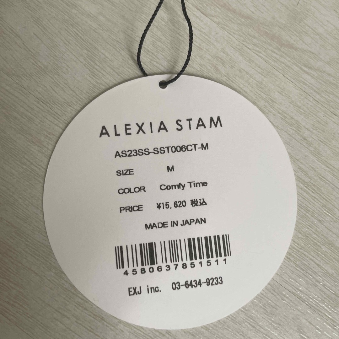 ALEXIA STAM(アリシアスタン)の新品　alexiastam アリシアスタン　ビキニ　水着 レディースの水着/浴衣(水着)の商品写真