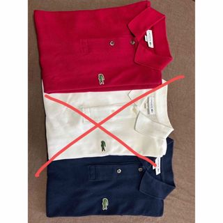 ラコステ(LACOSTE)のLACOSTE  ポロシャツ　L1212AL  ネイビー　ボルド　s (ポロシャツ)