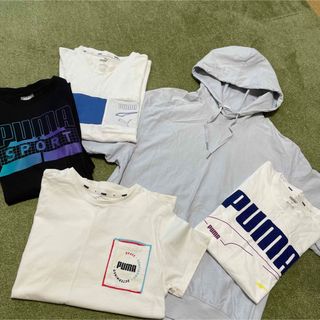 プーマ(PUMA)のPUMA Tシャツ　まとめ売り(Tシャツ/カットソー(半袖/袖なし))