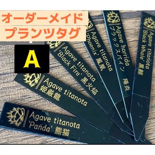 プランツタグ　20本　金文字(各種パーツ)