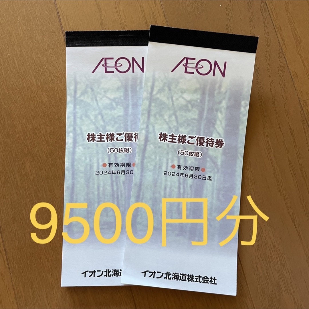 9500円分 イオンファンタジー株主優待