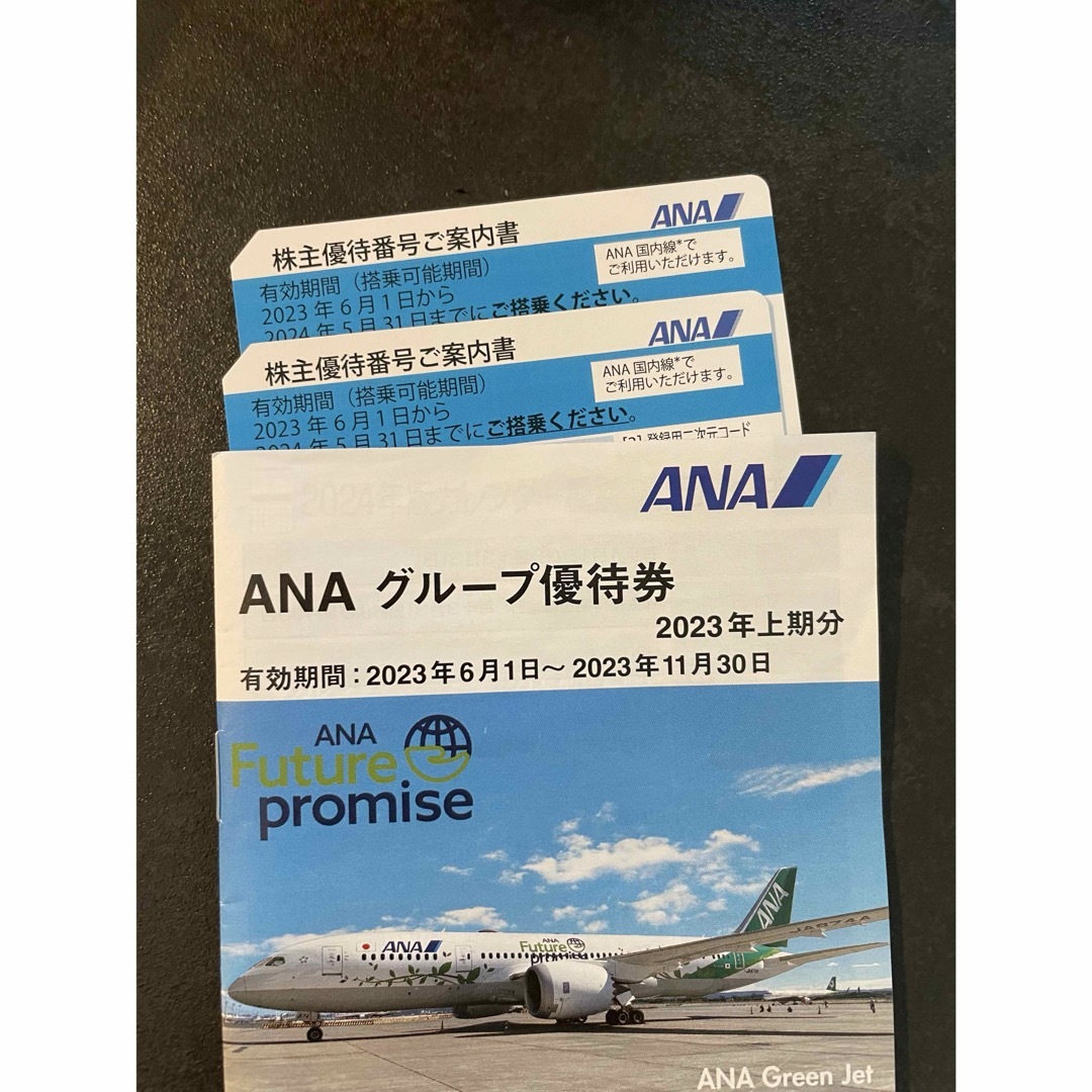 ANA(全日本空輸)(エーエヌエー(ゼンニッポンクウユ))のANA株主優待券　国内路線 チケットの優待券/割引券(その他)の商品写真