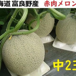 富良野産 赤肉メロン中２玉 （1.6ｋｇ以上/玉）【お中元　ご贈答に最適！】(フルーツ)