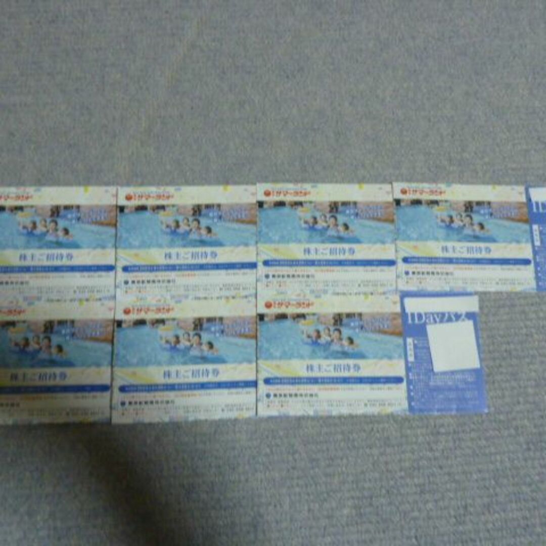 特別セーフ 速達可能翌日到着 10枚 東京サマーランド株主優待券 1DAYパス フリーパス⑥ 速達可能翌日到着 10枚 東京サマーランド株主優待券 1DAYパス フリーパス⑤