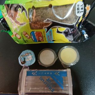 オオクワガタ・ヘラクレス用品(虫類)