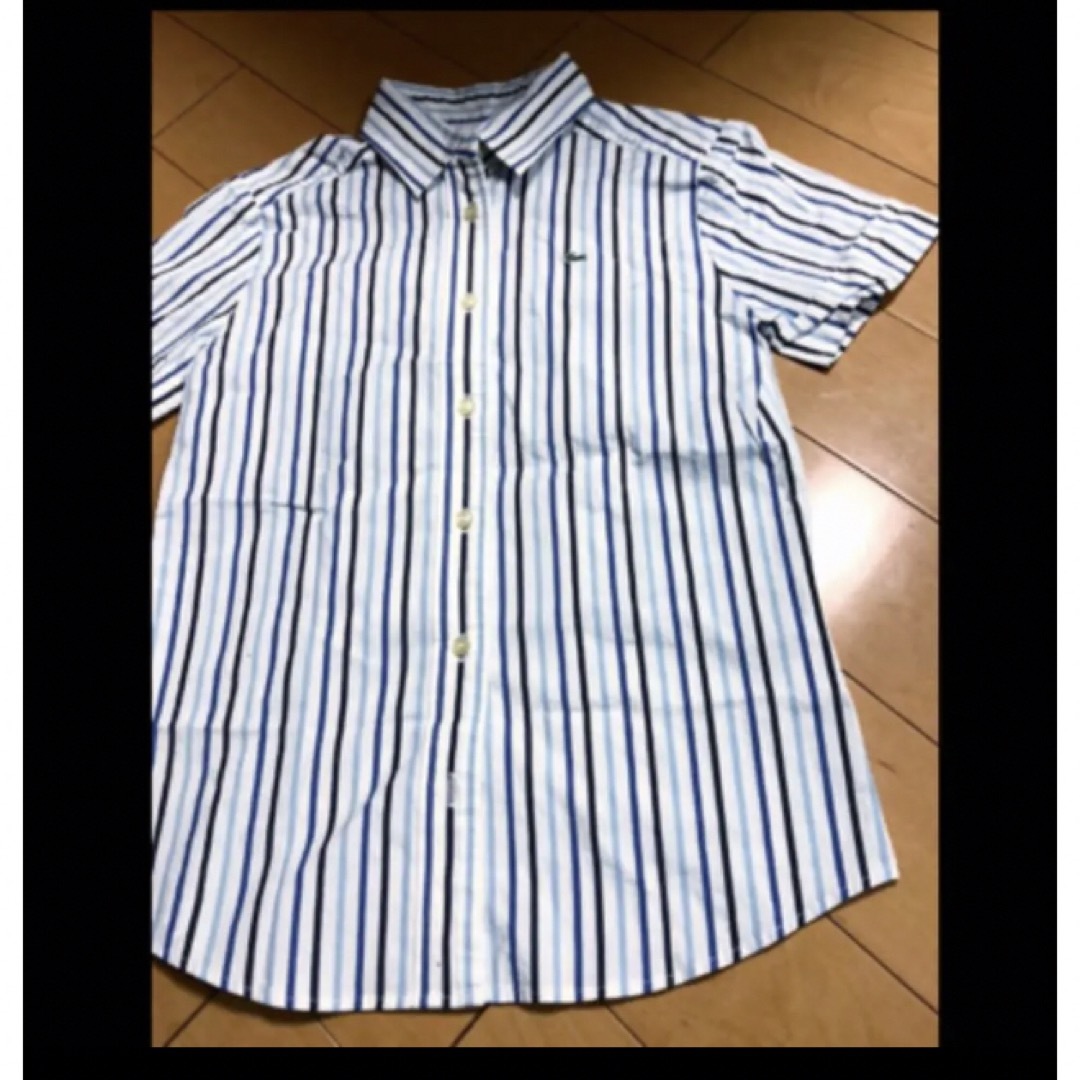 LACOSTE(ラコステ)のラコステストライプコットンシャツ レディースのトップス(シャツ/ブラウス(半袖/袖なし))の商品写真