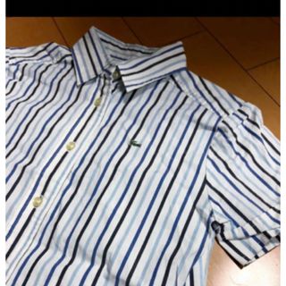 ラコステ(LACOSTE)のラコステストライプコットンシャツ(シャツ/ブラウス(半袖/袖なし))