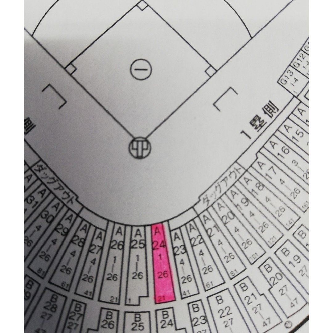 バックネット裏８列目！　８月２６日　東京ドーム・巨人対阪神