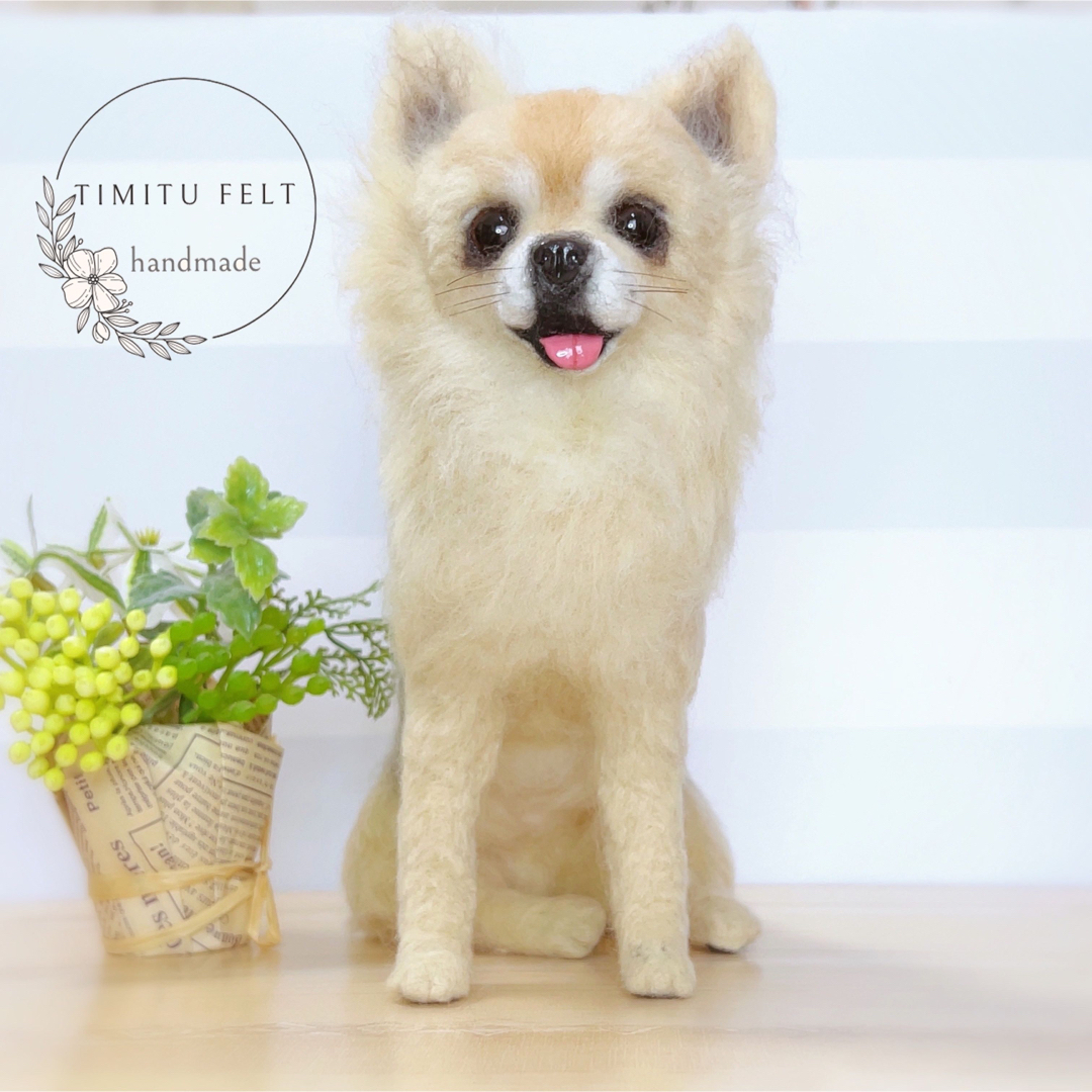 羊毛フェルト　愛犬　オーダー　マスコット　チワワ ハンドメイドのぬいぐるみ/人形(ぬいぐるみ)の商品写真