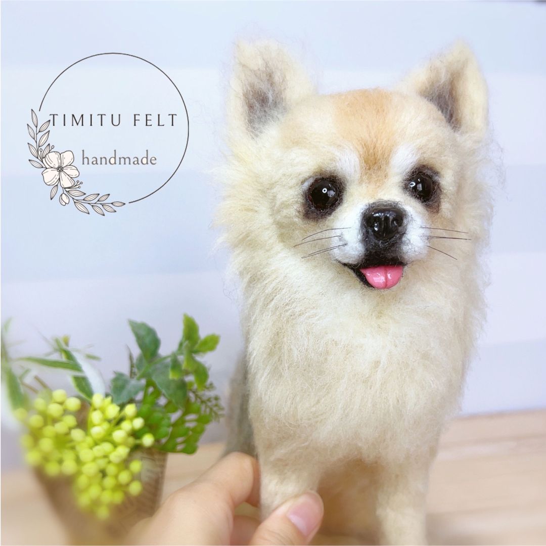 羊毛フェルト　愛犬　オーダー　マスコット　チワワ ハンドメイドのぬいぐるみ/人形(ぬいぐるみ)の商品写真