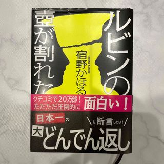 ルビンの壺が割れた(文学/小説)