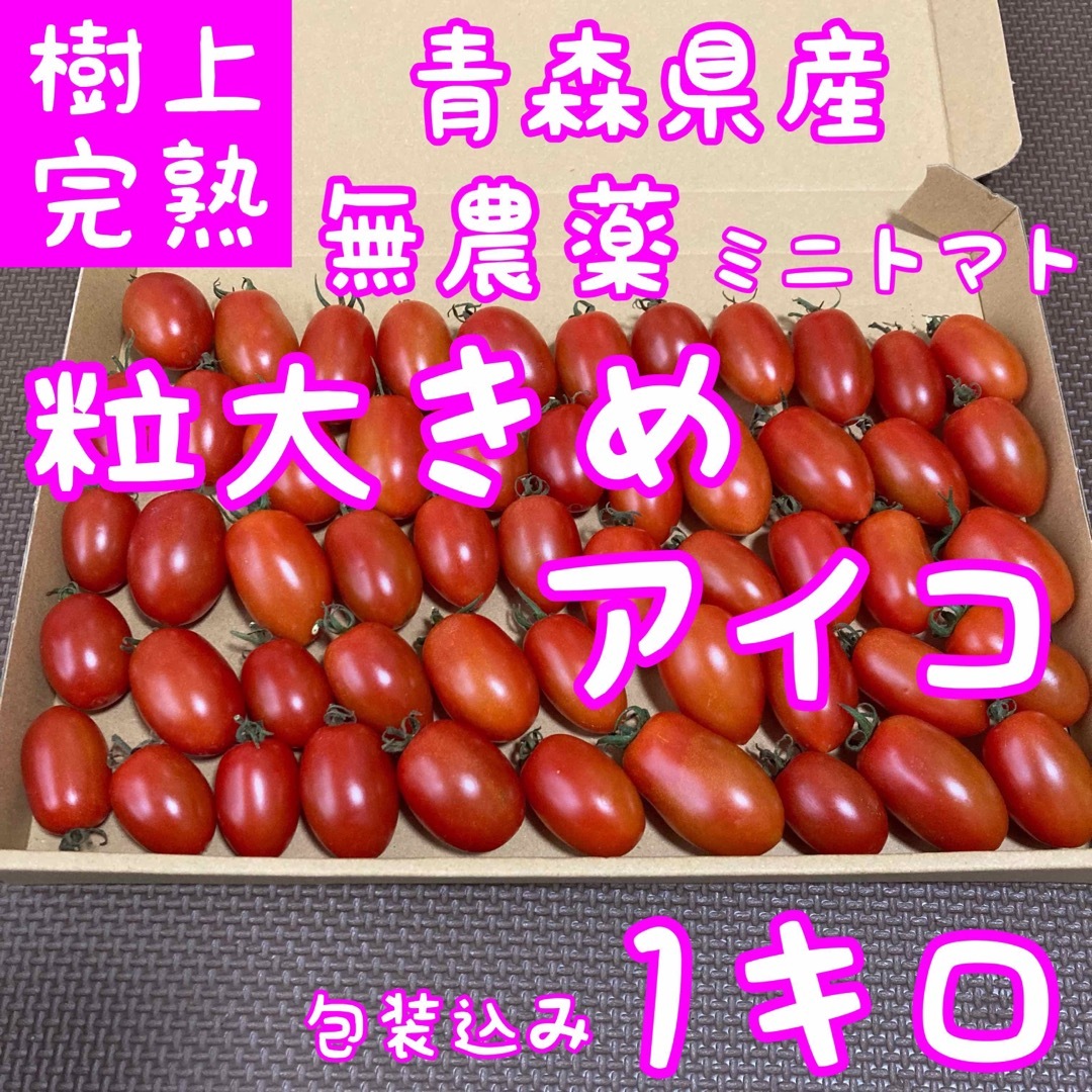 5キロ　ミニトマト　無農薬　クール便　青森県産　アイコ