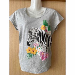 チチカカ(titicaca)の背中開きデザイン♡シマウマTシャツ(Tシャツ(半袖/袖なし))