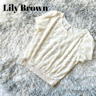 リリーブラウン(Lily Brown)のlily brown リリーブラウン　バラ　刺繍　シアーブラウス　ホワイト(Tシャツ(半袖/袖なし))