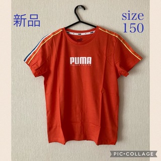 プーマ(PUMA)の新品☆PUMA alphaテープTシャツ 150 (Tシャツ/カットソー)
