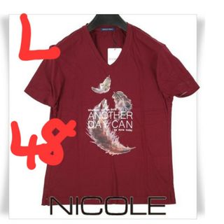 ニコル(NICOLE)の定価2750円‼️NICOLE selection Vネックデザインカットソー(Tシャツ/カットソー(半袖/袖なし))