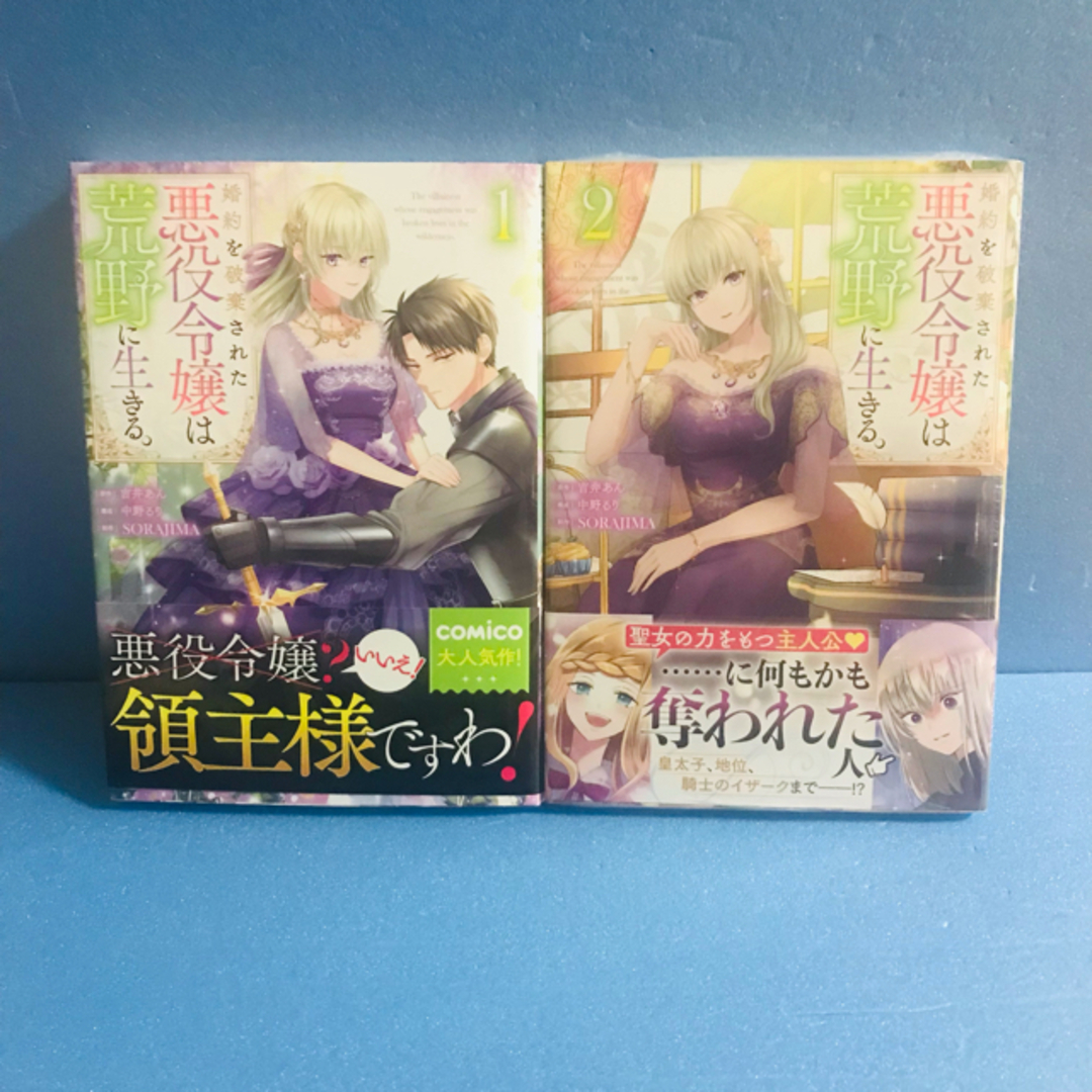 婚約を破棄された悪役令嬢は荒野に生きる。1巻 2巻★コミック2冊セット | フリマアプリ ラクマ