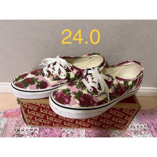 ヴァンズ(VANS)のスニーカー　バンズ　エラ　オーセンティック　24.0   ピンク　バラ(スニーカー)