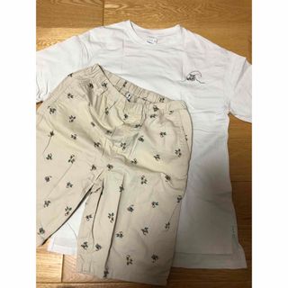 ザラ(ZARA)の140-150サイズ　キッズ　Tシャツ短パン　ZARA(Tシャツ/カットソー)