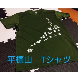 グリマー(glimmer)の専用　山小屋Tシャツ 平標山(登山用品)