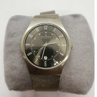 スカーゲン メンズ腕時計(アナログ)の通販 500点以上 | SKAGENのメンズ
