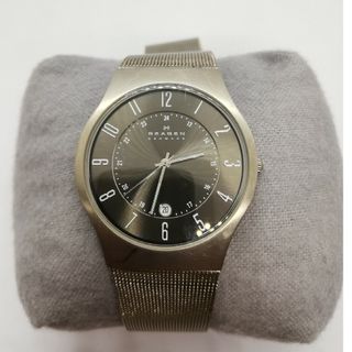 スカーゲン(SKAGEN)のスカーゲン メンズ腕時計 電池交換済(腕時計(アナログ))