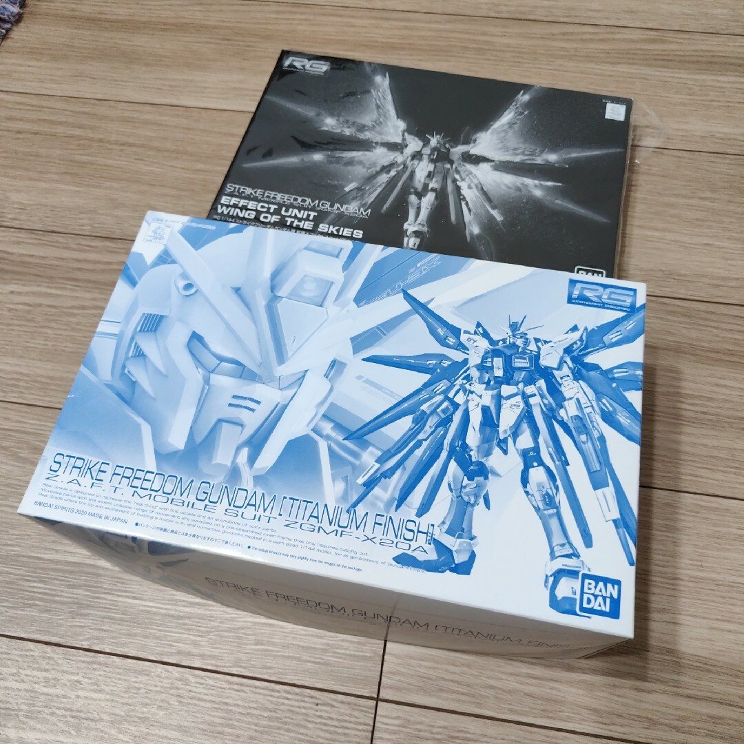 通販限定品 RGストライクフリーダム チタニウムフィニッシュ 天空の翼