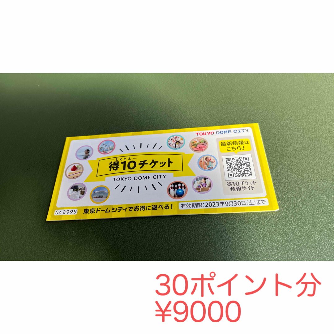 東京ドームシティ【匿名配送】得10チケット　5冊　50ポイント