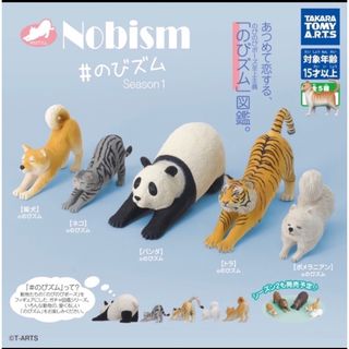 Nobism のリズム ねこ 新品未開封(その他)