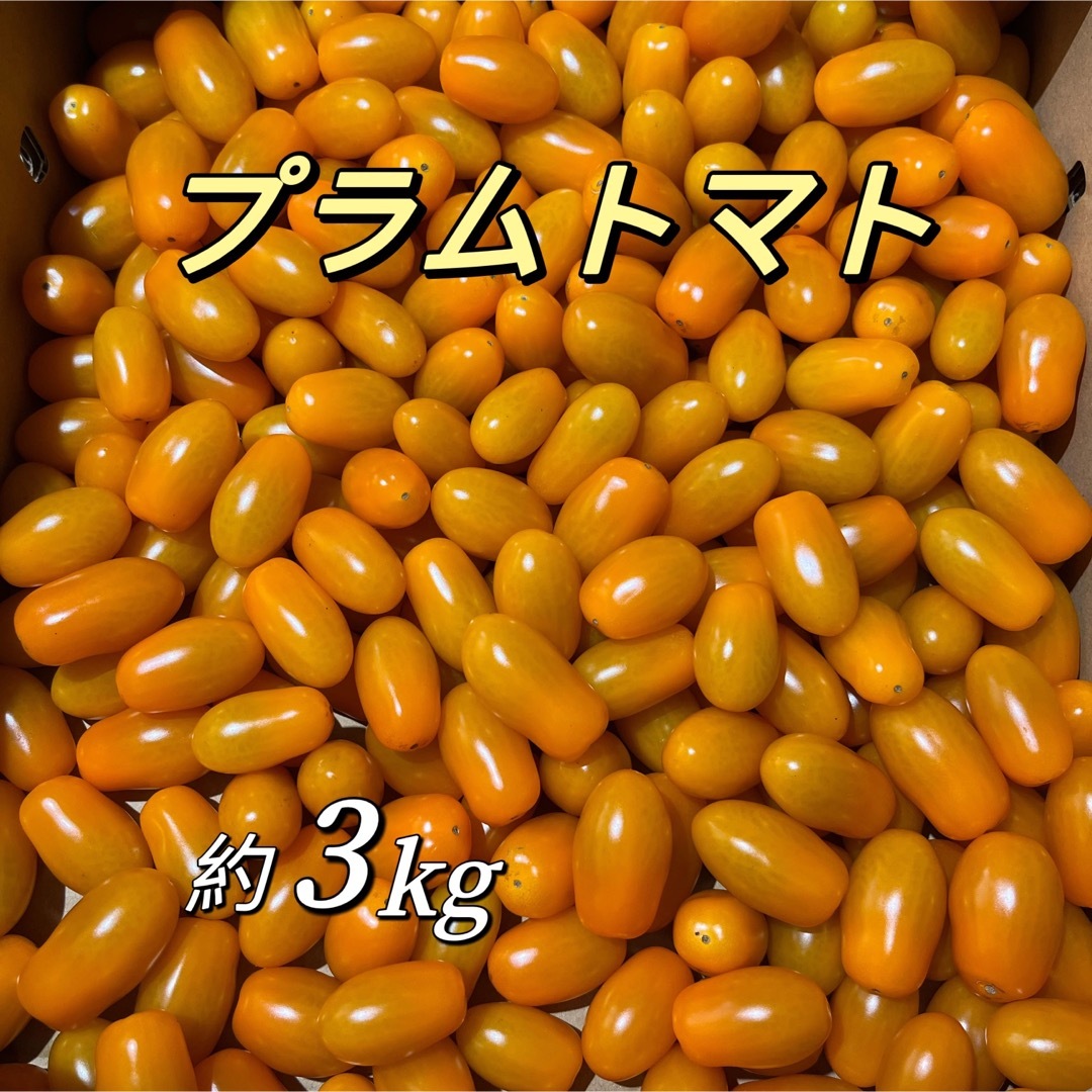 プラムトマト　3kg   オレンジ色 食品/飲料/酒の食品(フルーツ)の商品写真