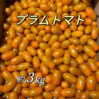 プラムトマト　3kg   オレンジ色(フルーツ)