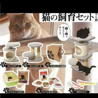 猫の飼育セット　ミニチュア　ガチャガチャ(その他)