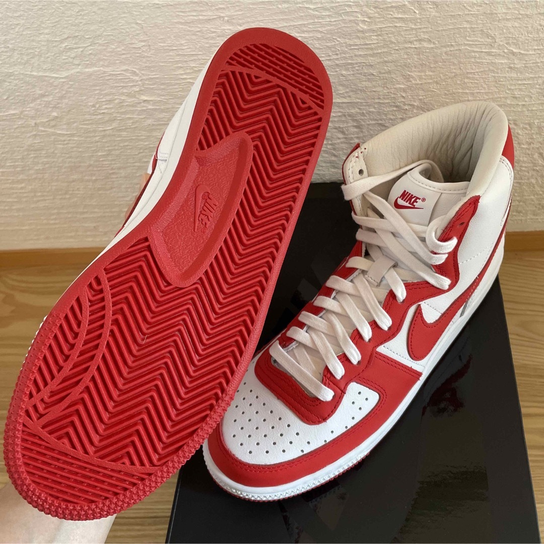 ターミネーター 26 コムデギャルソン nike supreme dunk SB