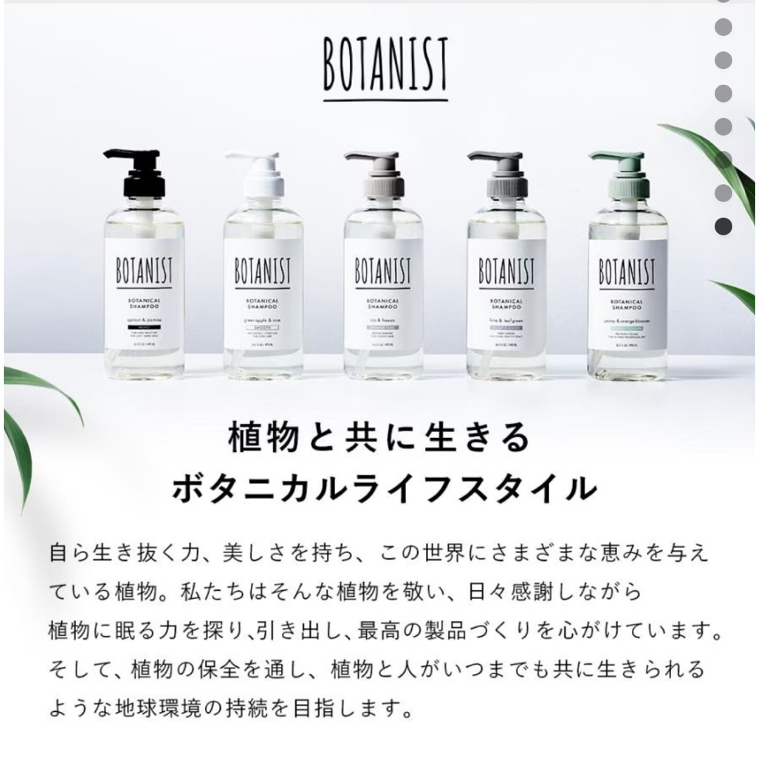 BOTANIST(ボタニスト)のボタニスト　BOTANIST ボタニカル　シャンプー　トリートメント　スムース コスメ/美容のヘアケア/スタイリング(シャンプー/コンディショナーセット)の商品写真