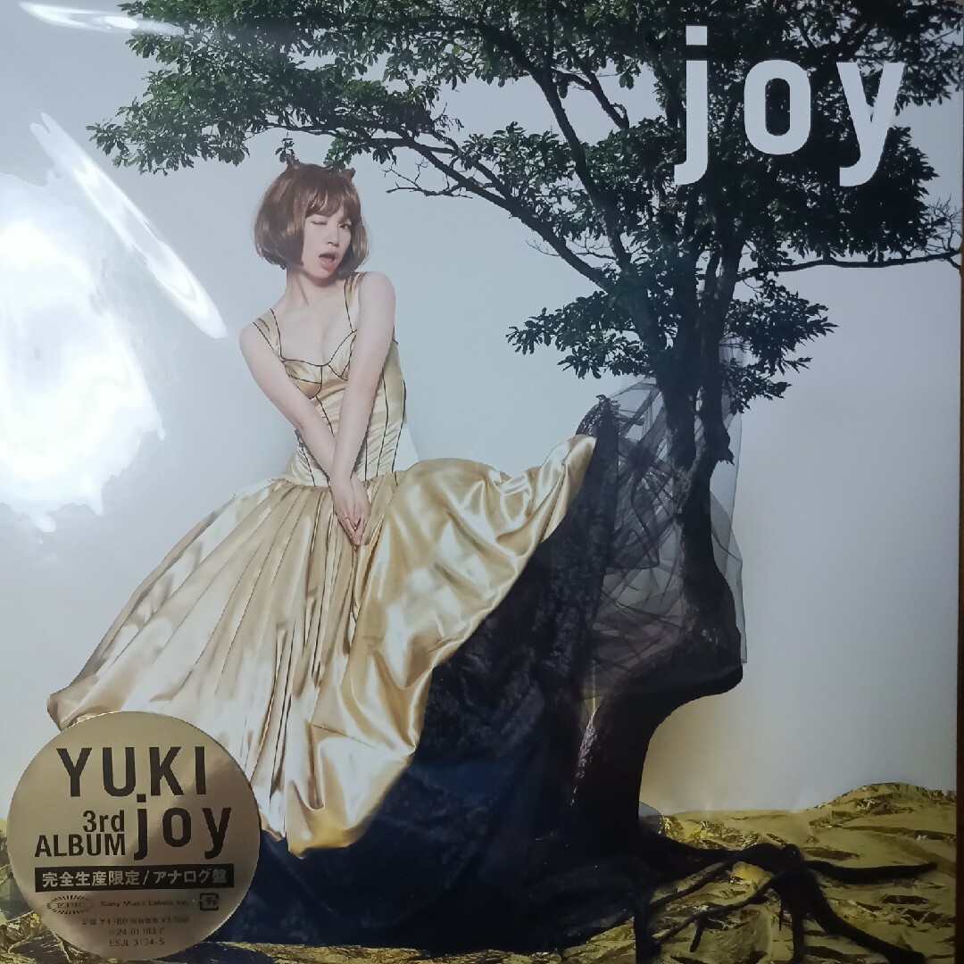 ｊｏｙ完全生産限定盤レコード盤