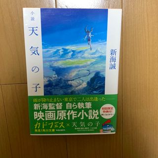 君の名は。(文学/小説)