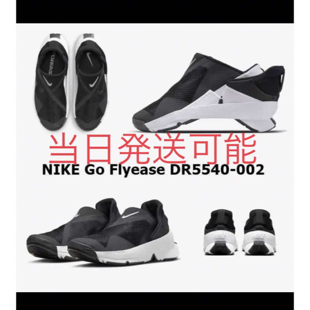 スニーカーNIKE ナイキ  W GO FLYEASE DR5540