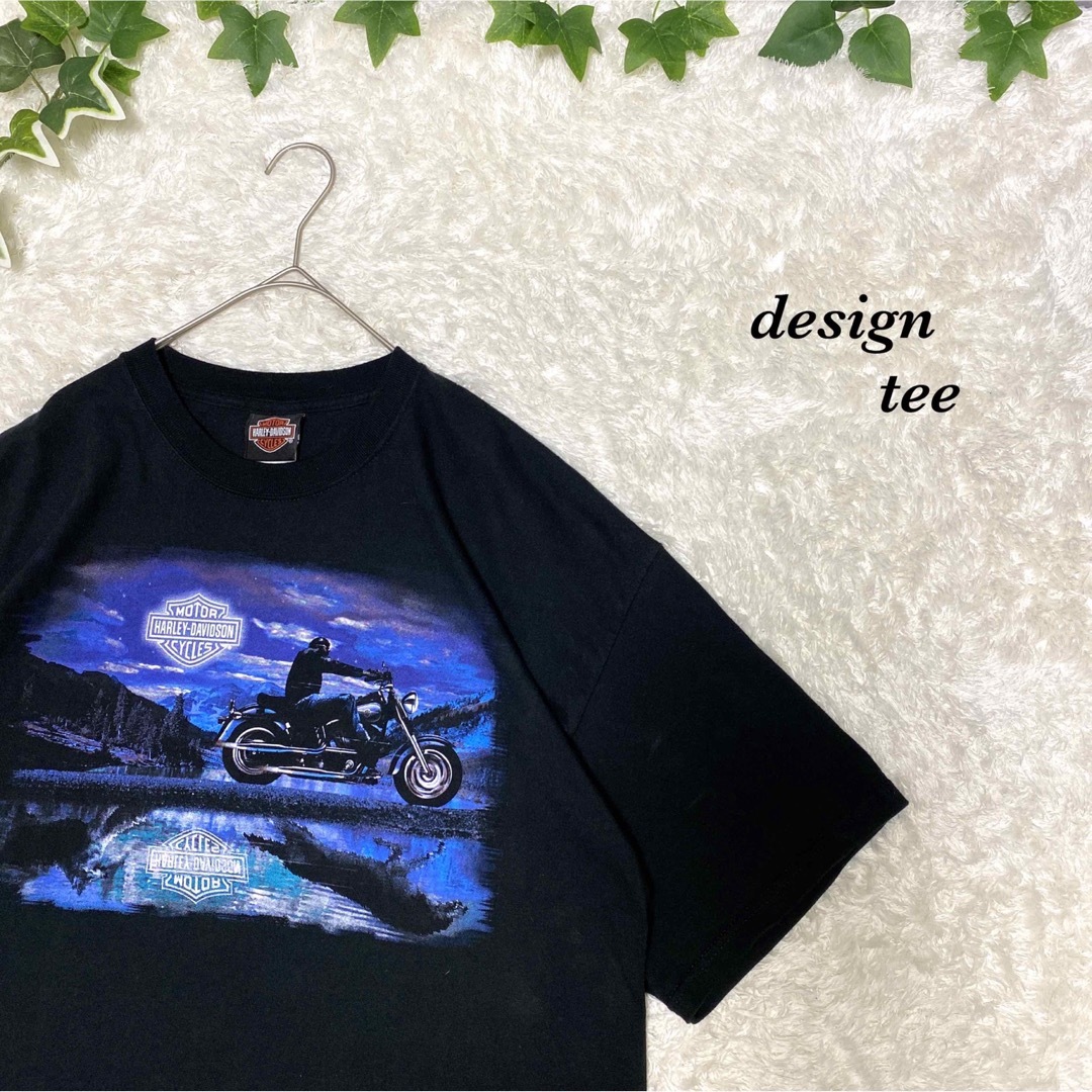 Tシャツ　ハーレーダビッドソン　激レア　　バイク　バンド　風景　フォトTシャツ/カットソー(半袖/袖なし)