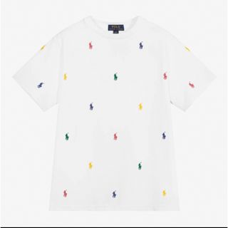 ポロラルフローレン(POLO RALPH LAUREN)のポロ ラルフローレン Tシャツ POLO  総ポニー柄 刺繍 半袖鹿の子(Tシャツ/カットソー)