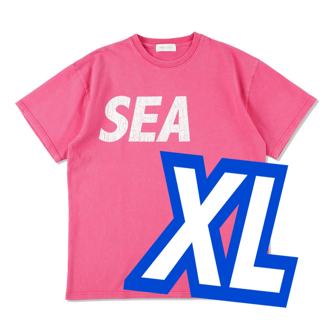 WIND AND SEA Tシャツ CRACK-P-DYE