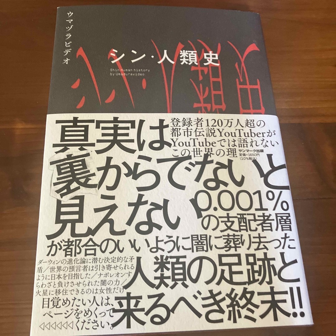 シン・人類史 エンタメ/ホビーの本(その他)の商品写真