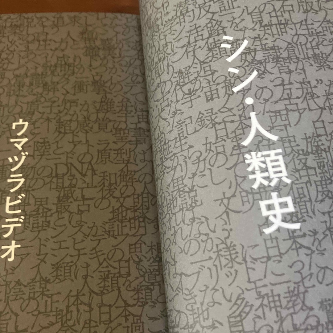 シン・人類史 エンタメ/ホビーの本(その他)の商品写真