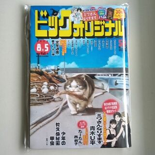最新 8月5日号 ビッグコミックオリジナル(漫画雑誌)