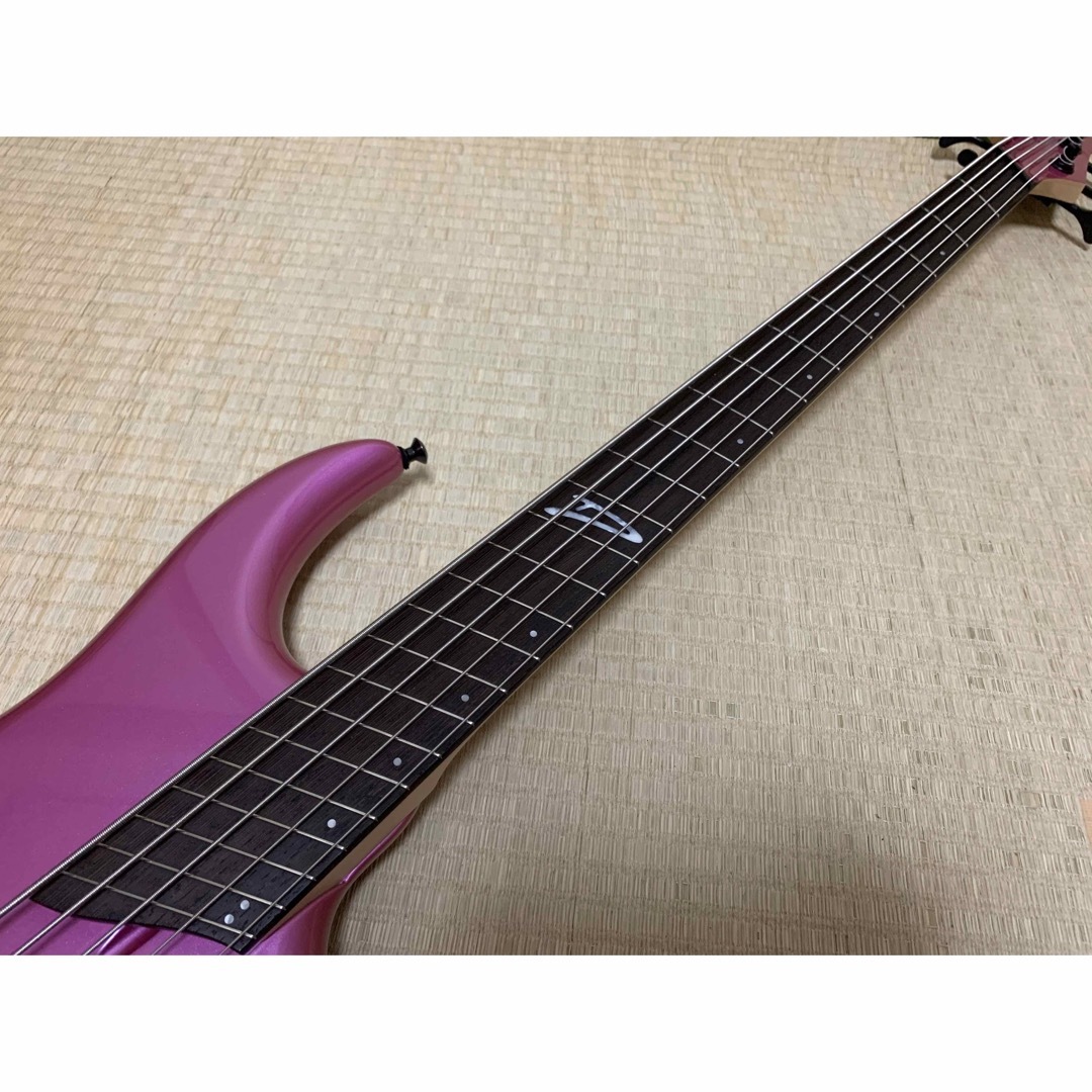 DINGWALL LSS5 Lee Sklar Signature 楽器のベース(エレキベース)の商品写真