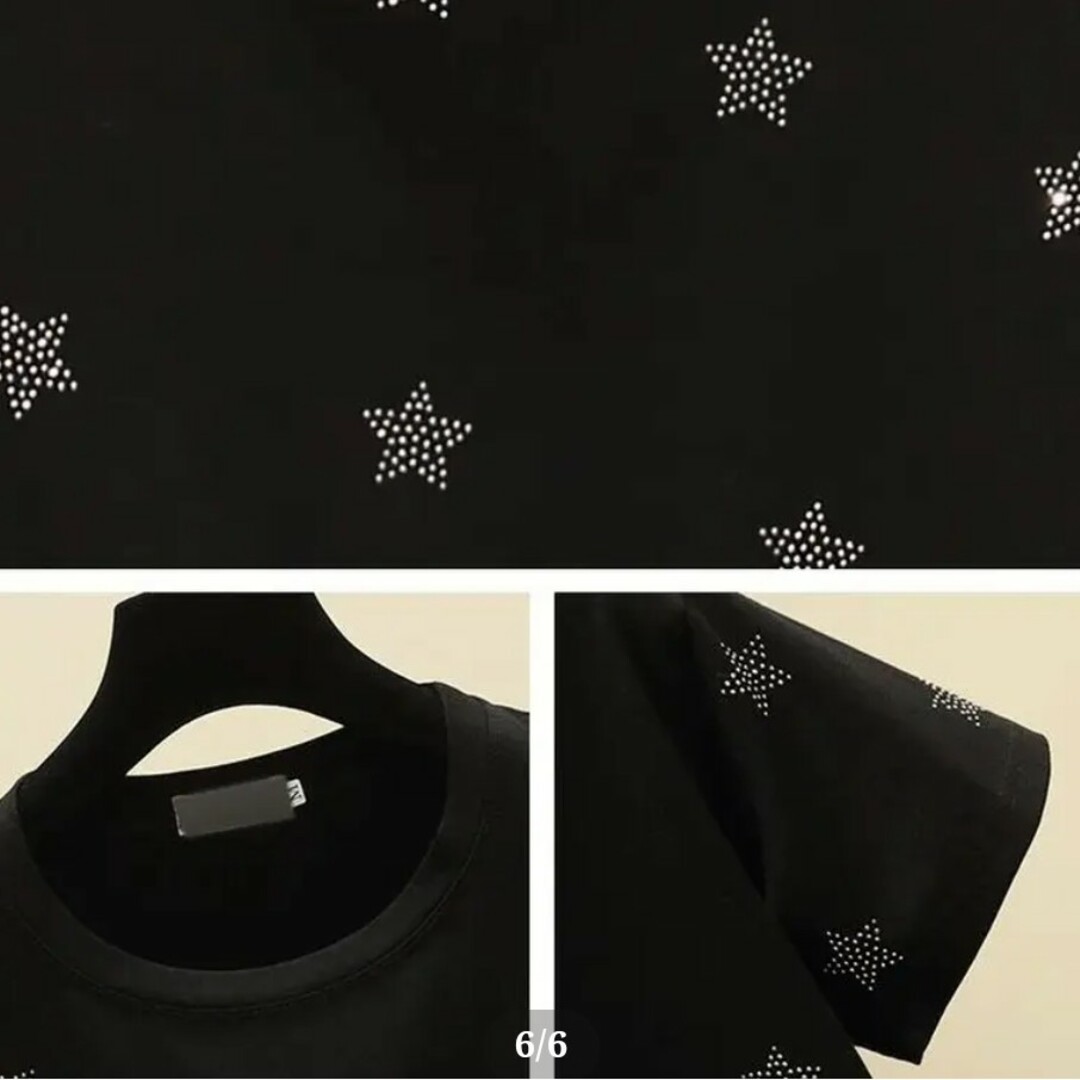 roar ロアー 美品! バックスタースワロTシャツ-