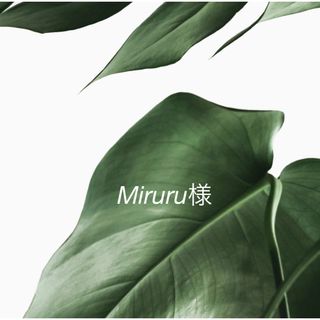 Miruru様専用ページ(その他)