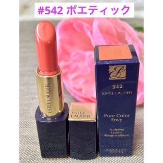 エスティローダー(Estee Lauder)の新品❗️エスティローダー リップ 542 ポエティック(口紅)