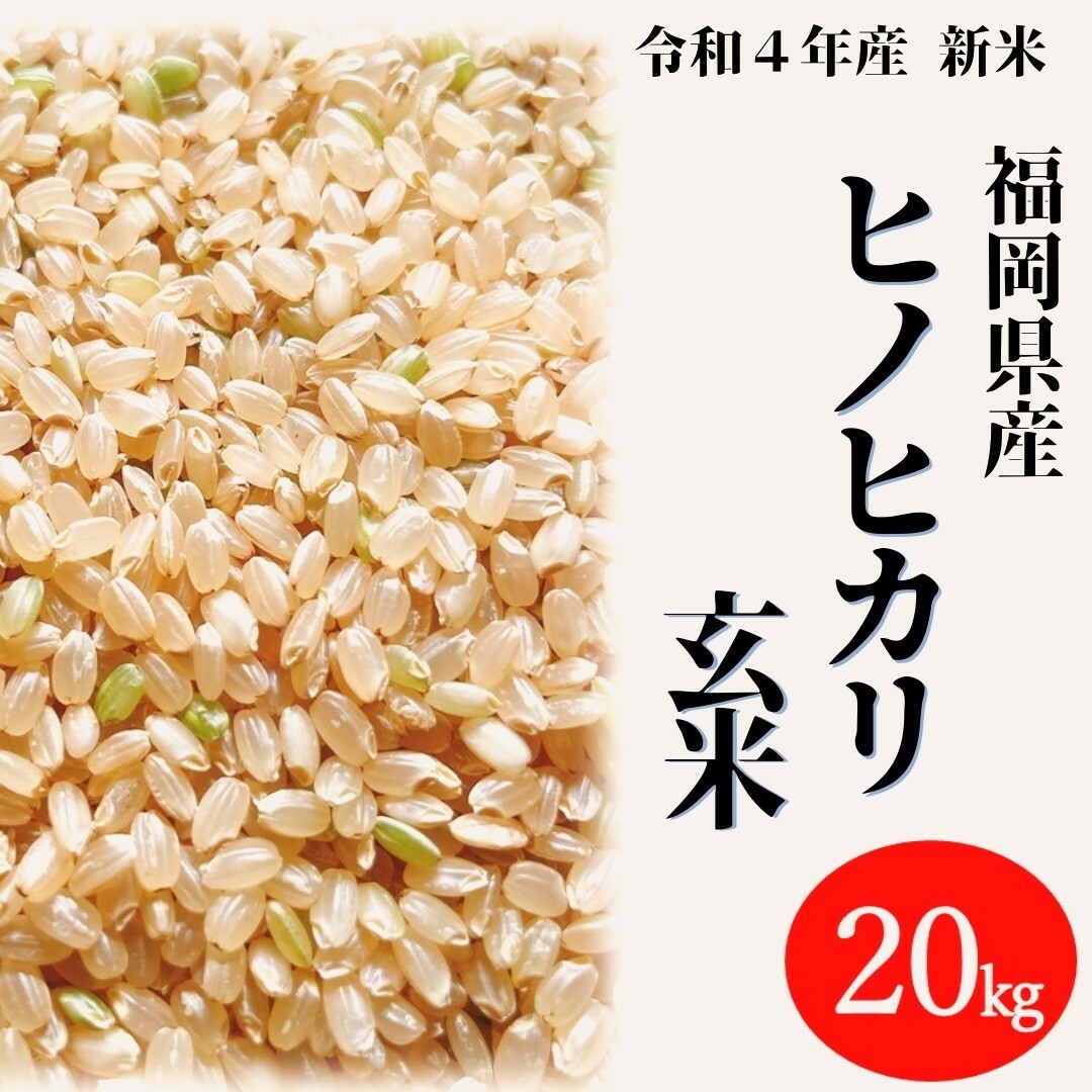 熊本県菊池産 ヒノヒカリ 5kg×4袋 計20kg 5分づき米 お米 分づき米 令