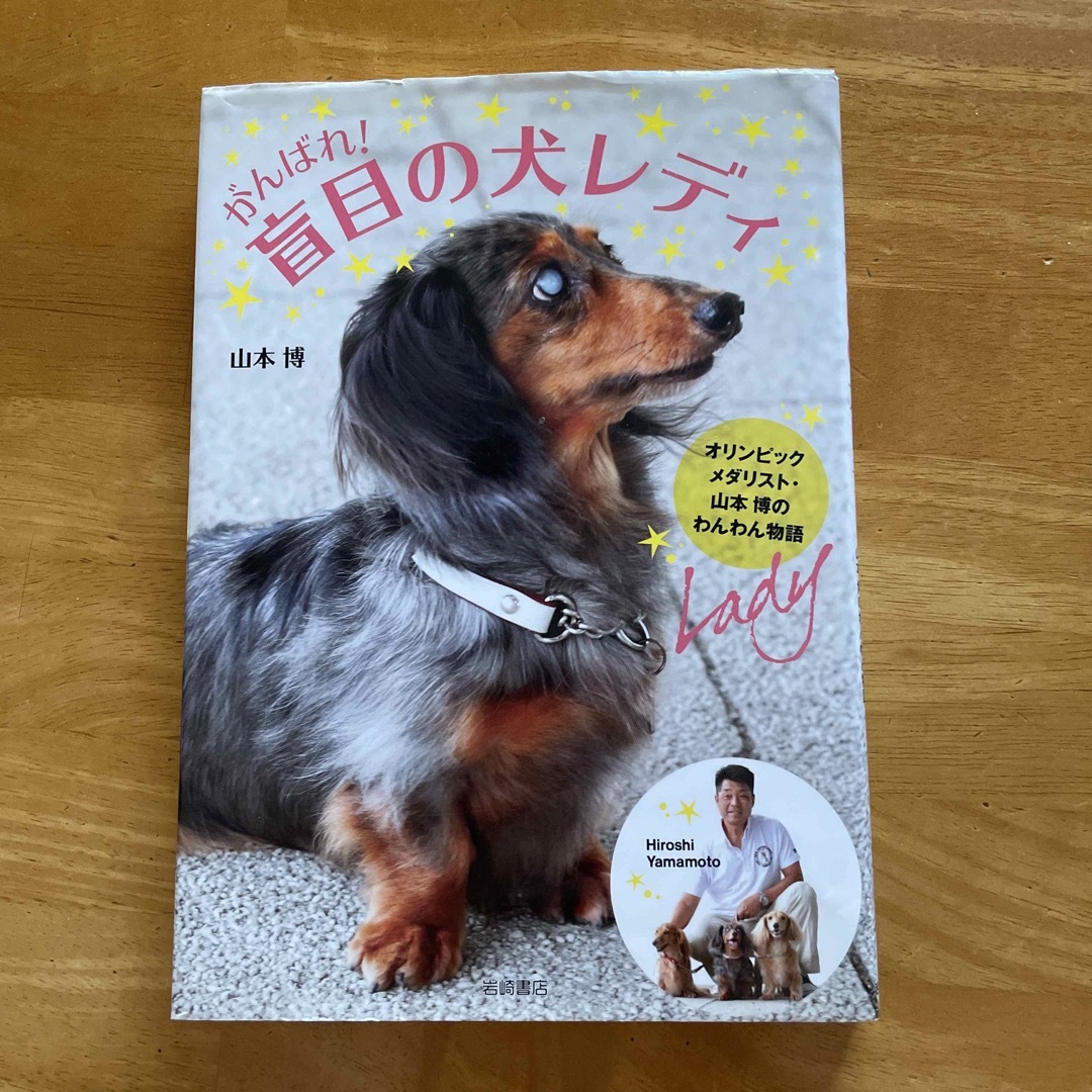 岩崎書店 がんばれ！盲目の犬レディ 山本博 ③ エンタメ/ホビーの本(絵本/児童書)の商品写真