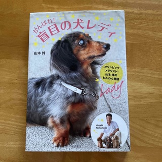 岩崎書店 がんばれ！盲目の犬レディ 山本博 ③(絵本/児童書)